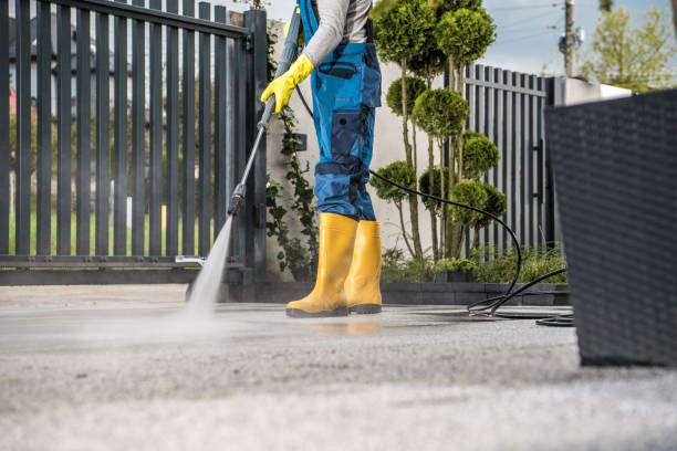 Best Driveway Pressure Washing  in Mountain View Ranches, AZ